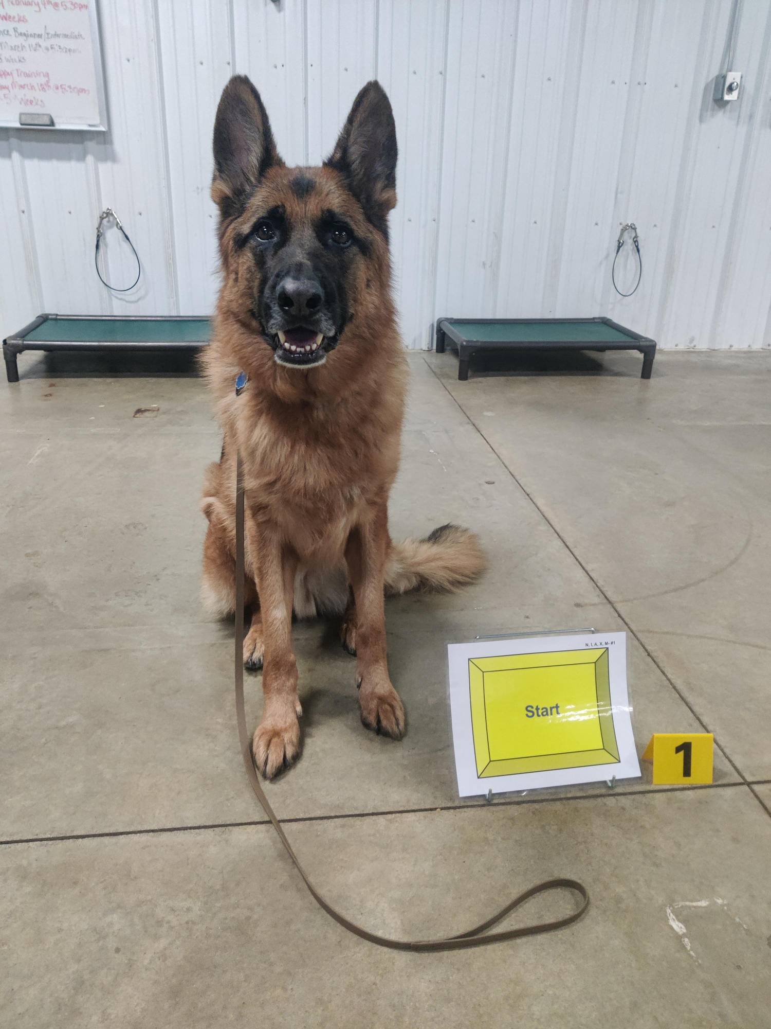 i-m-g-20260219-173126