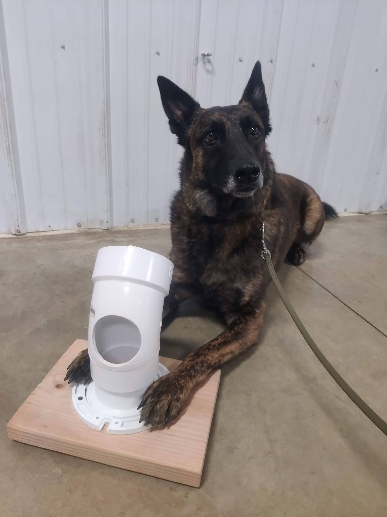 i-m-g-20260219-173413