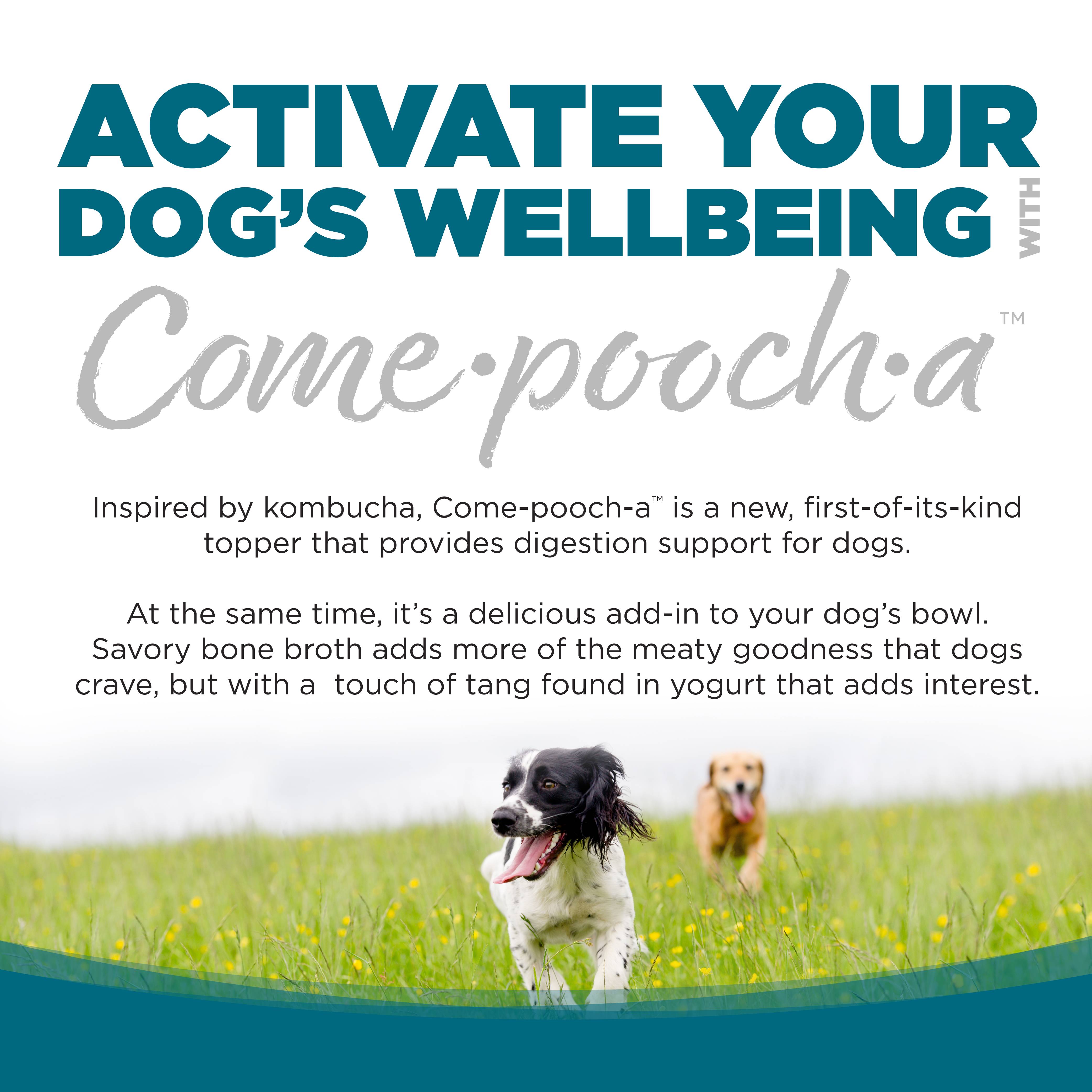 comepoocha-chicken-02