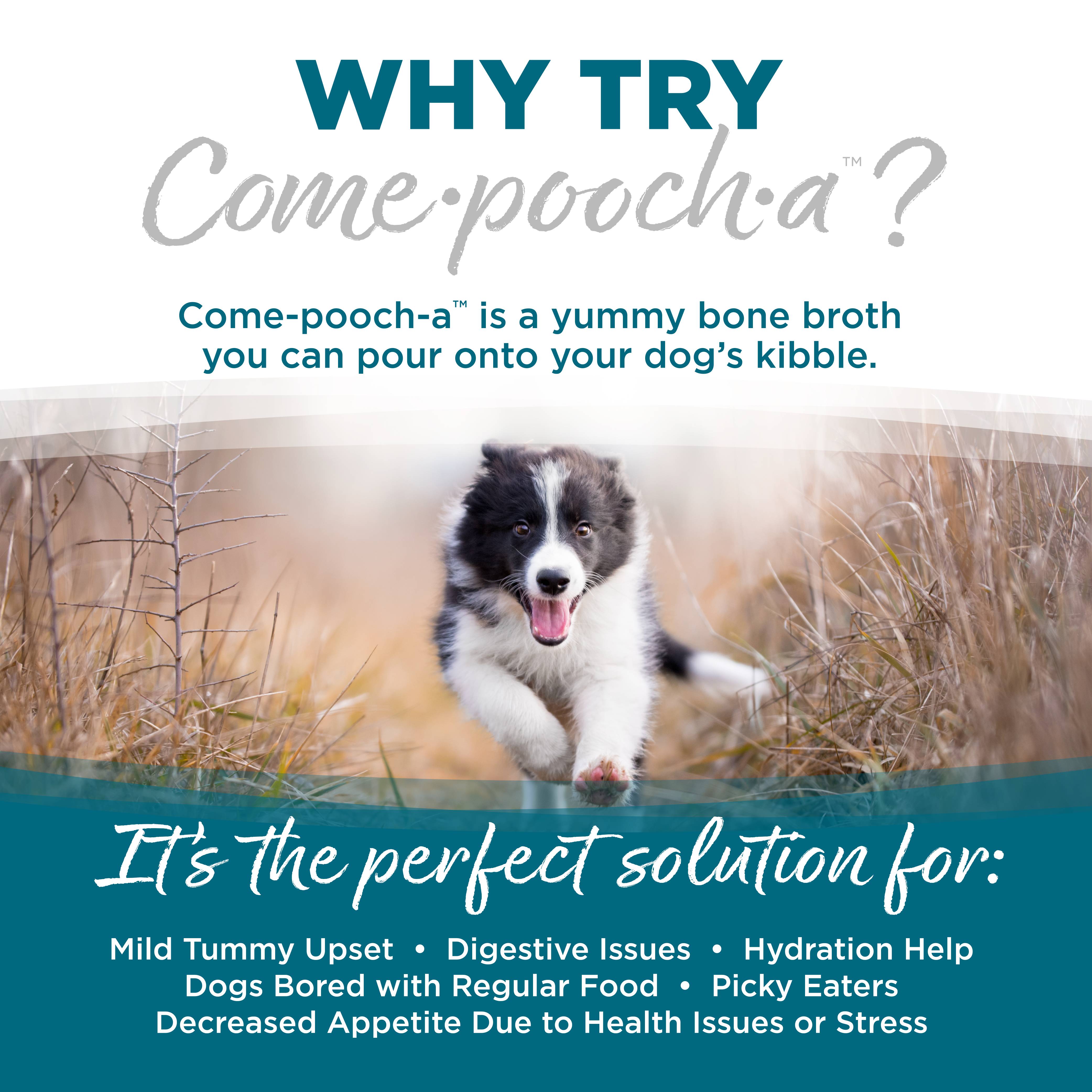 comepoocha-chicken-03