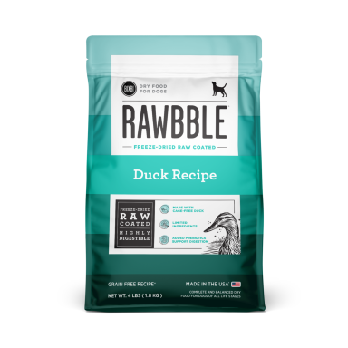 duck-1