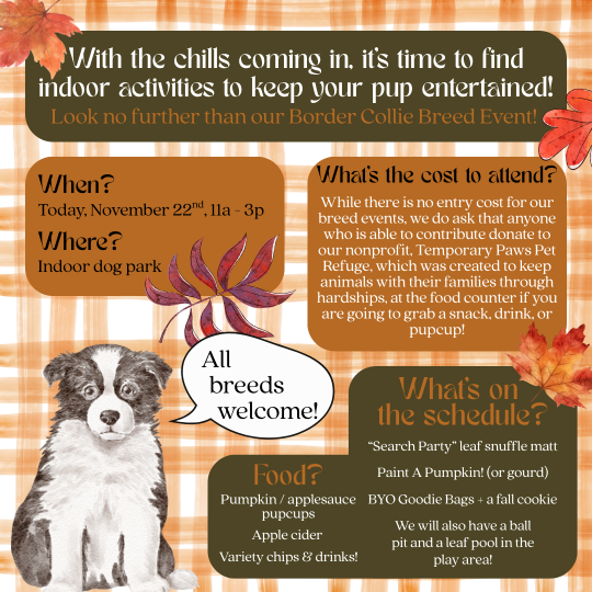 t-t-d-reminder-border-collie-event-p-o-s-t-22nd