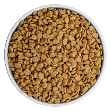 kibble-1
