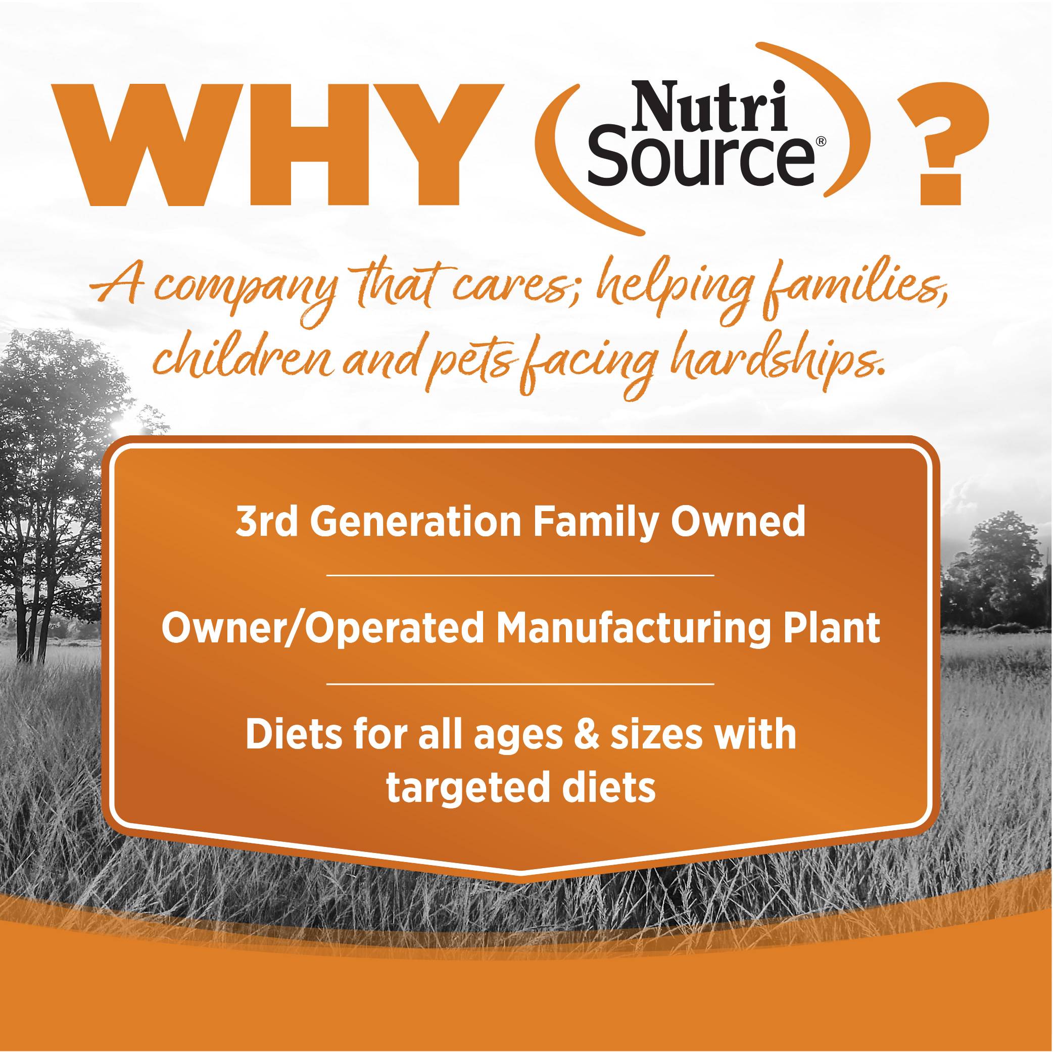 n-s-g-f-lamb-meal-peas-02