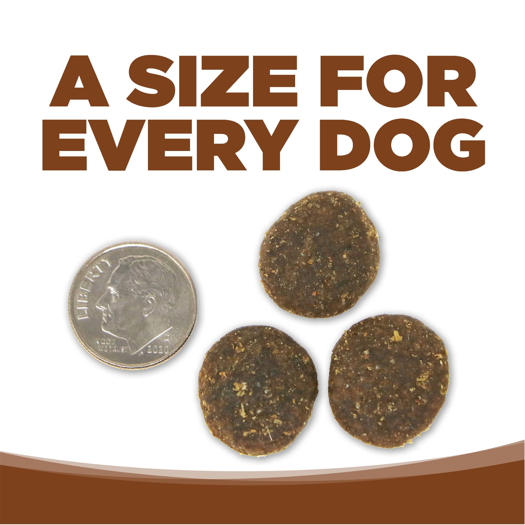 n-s-g-f-large-breed-lamb-meal-peas-07