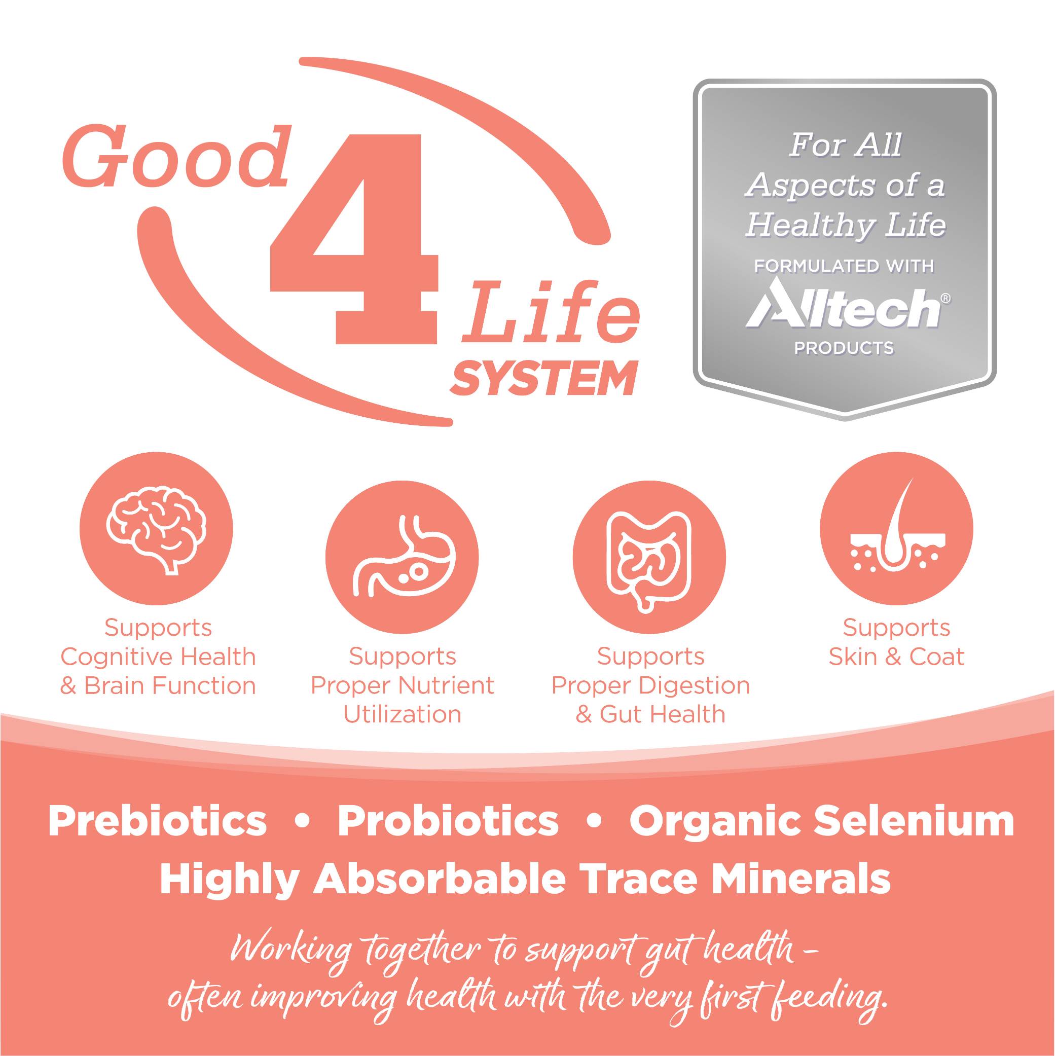 n-s-g-f-small-bites-seafood-select-01