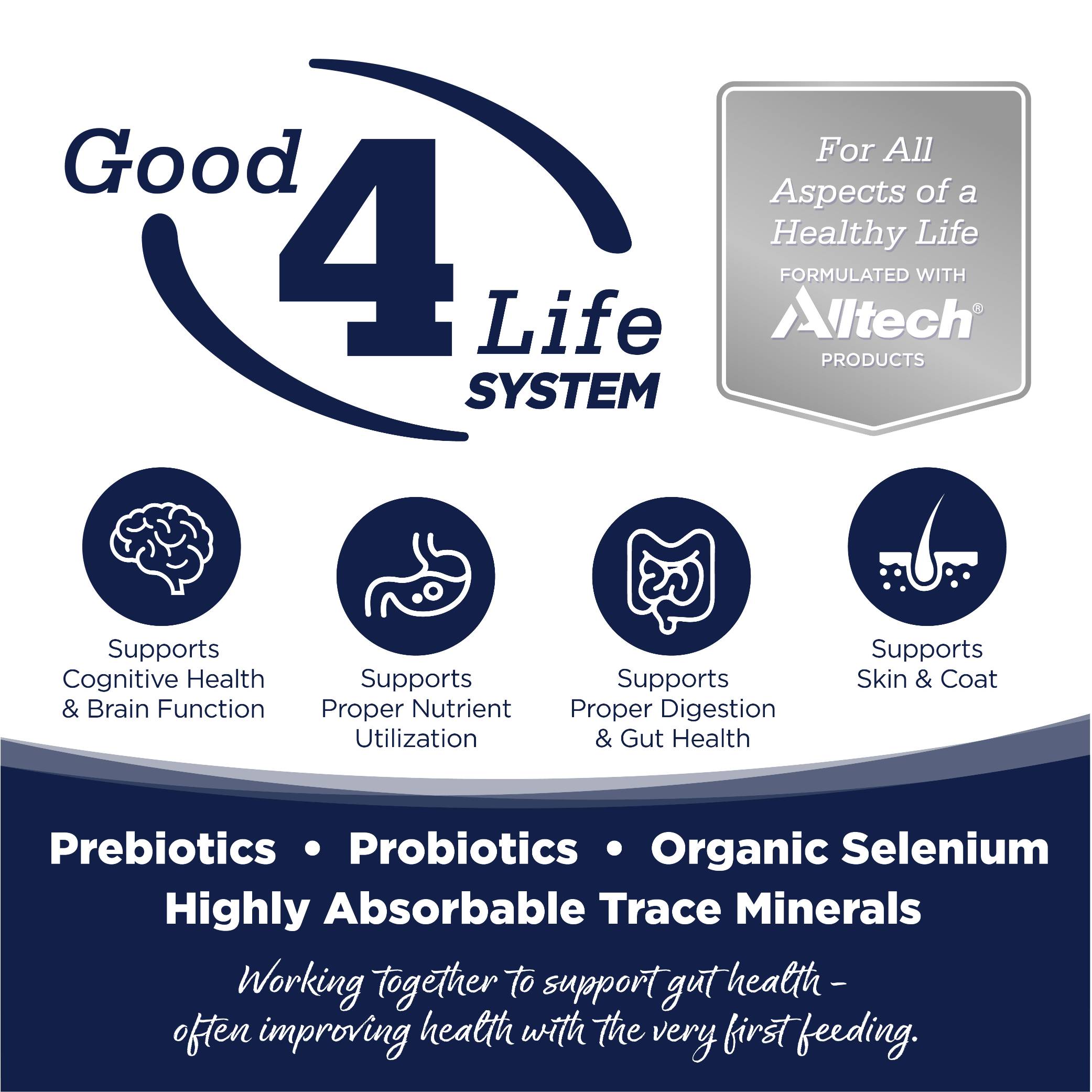 n-s-g-f-woodlands-select-01