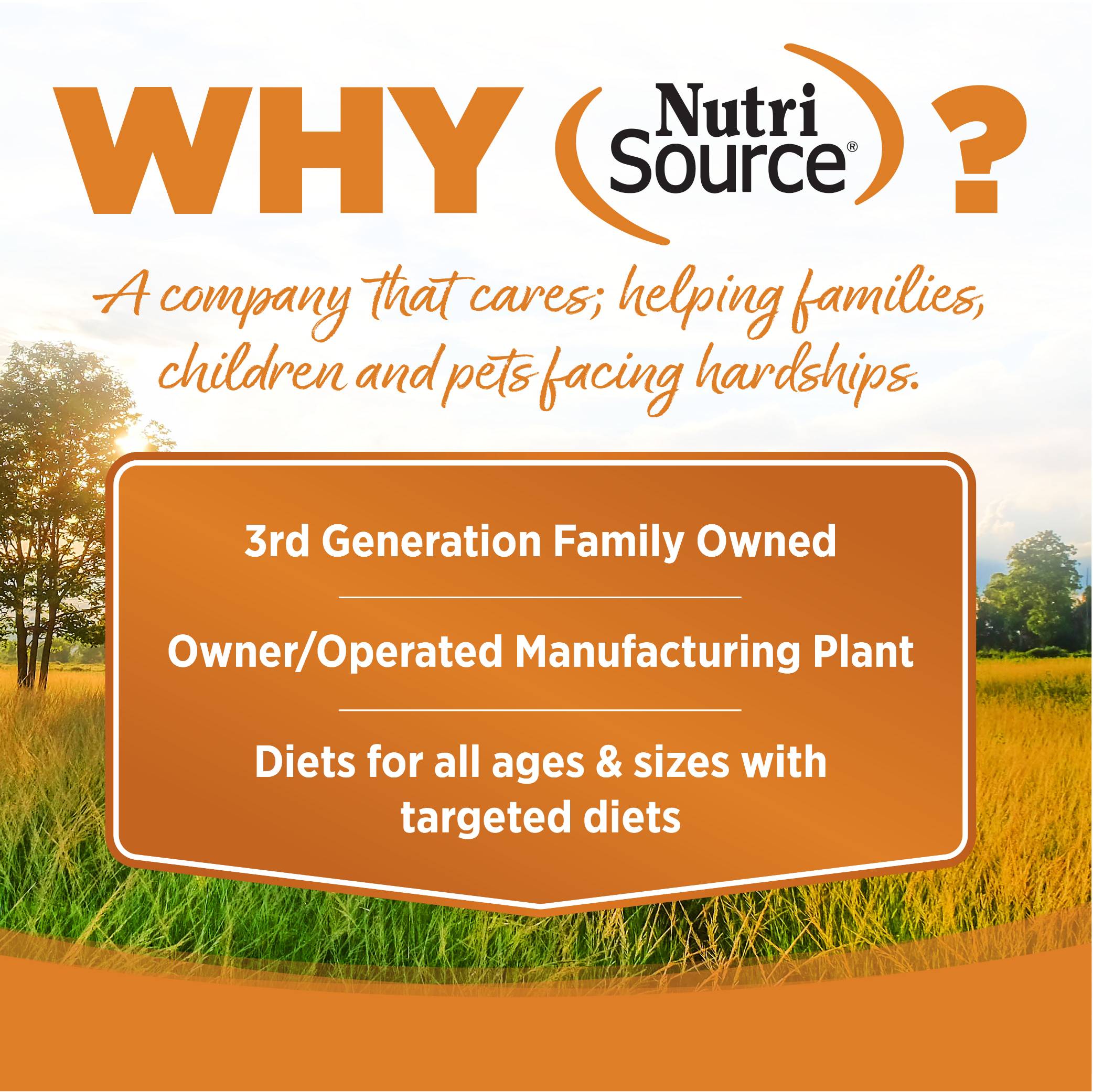 n-s-lamb-meal-rice-02