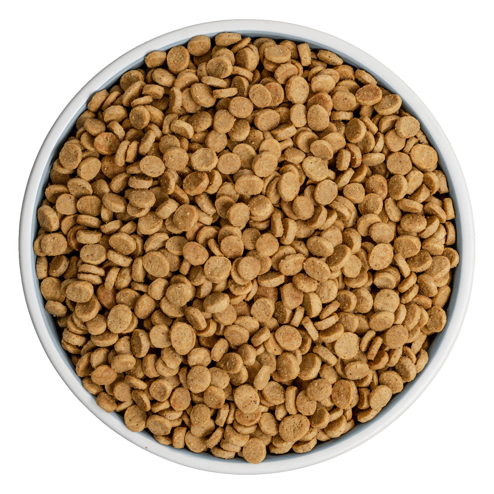 pork-kibble