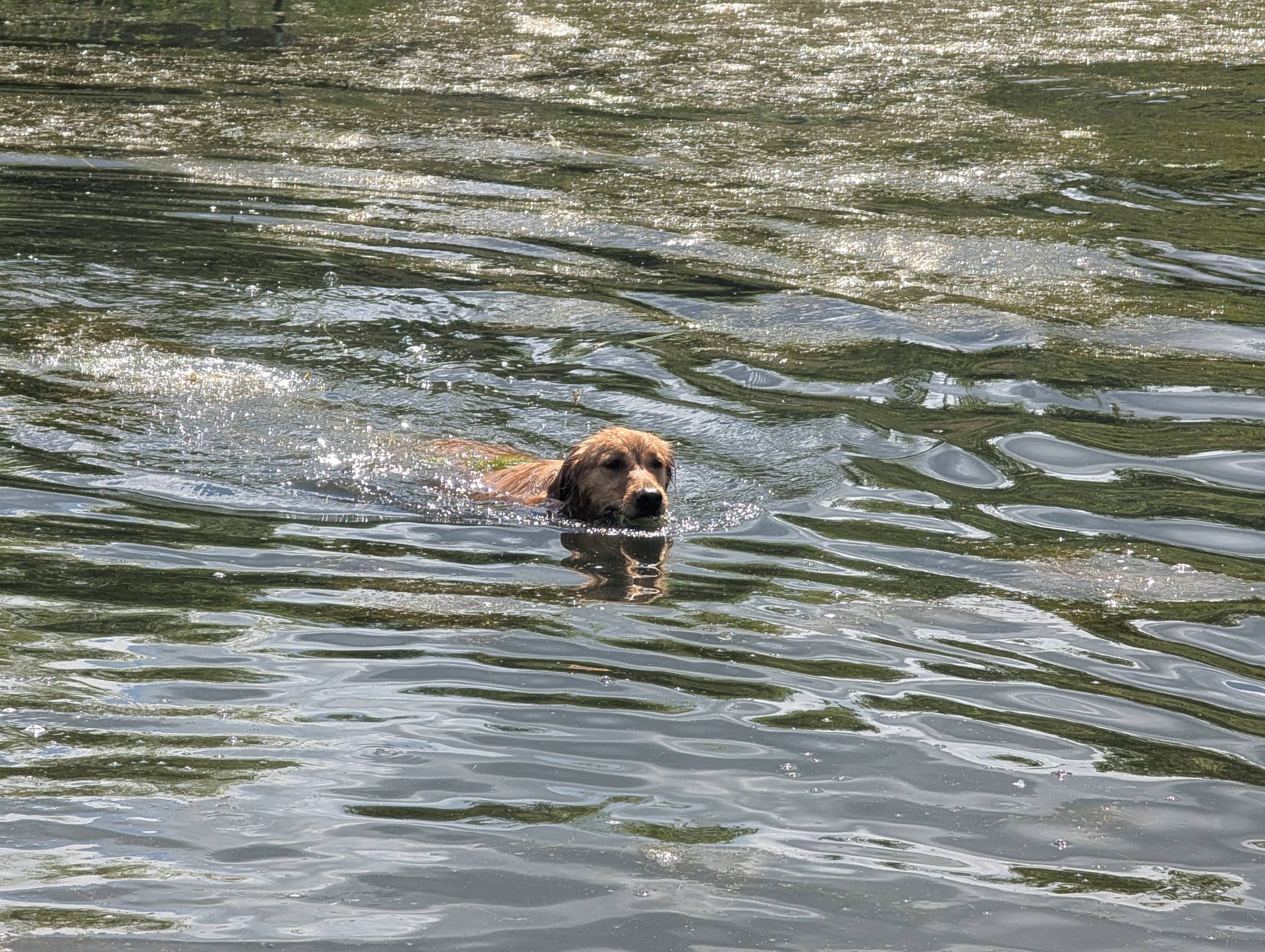 p-x-l-20250630-204213058